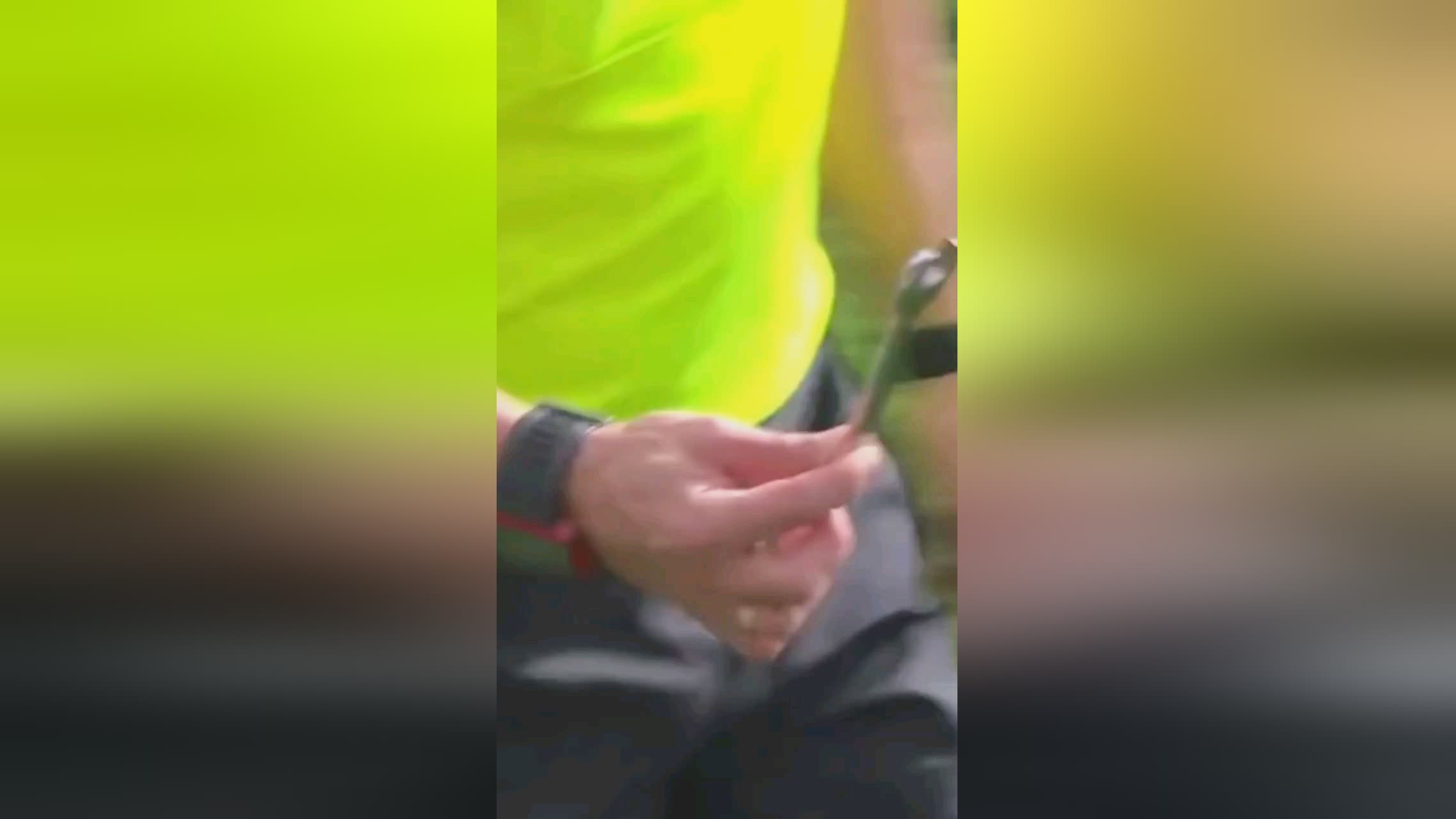 执行才能屹